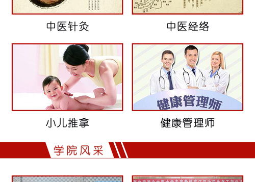 湖北中醫(yī)藥學校的中醫(yī)養(yǎng)生培訓與養(yǎng)生保健服務(wù)